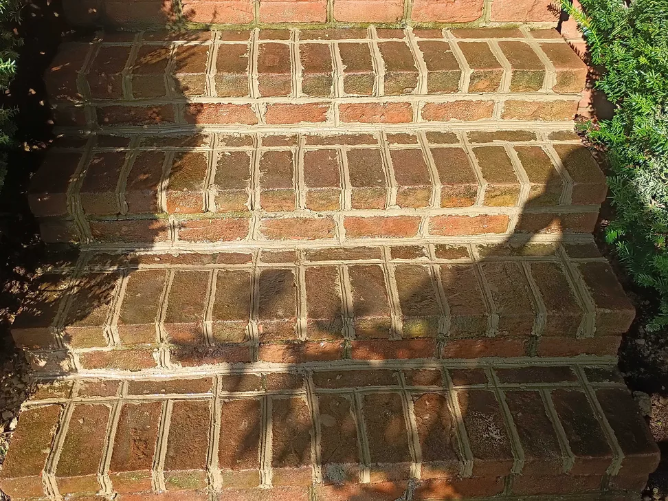 Old brick steps with fresh mortar joints between shrubs, walkways and steps